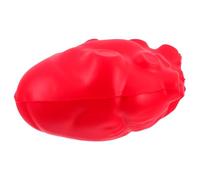 INOOMP Realistic Human Heart Model for Teaching, Simulation Organ Model for Anatomy Education, Red Anatomical Body Part Prop for Medical Students and Science Exhibits