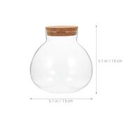 INOOMP Round Glass Jar Terrarium: Succulent Plant Bottle With Cork Lid Bud Vase Jar Message Hydroponic Container For Moss Succulent Air Plants Micro Landscape Candy