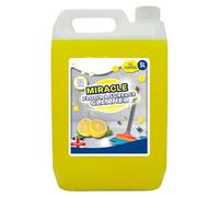 Inovix® 5L Floor Cleaner Liquid, Surface Cleaner, All-Purpose Hard Floor Cleaner, Multi Surface For Stone, Tile, Marble & Laminate, Anti-Bac Disinfectant 5L Home & Commercial Use