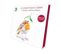 Inquisitive Robins - RSPB Luxury Christmas 10 Card Pack