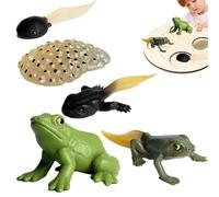 Insëčт Toys Life Cycle - Pp, Insëčт Figurines, Realistic Educational Growth Figurine | Butterfly Frog Turtle Ant & Moon Moth Science Learning Toys, Life Cycle Figurines For Kids