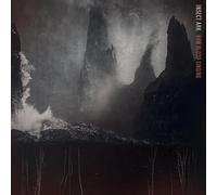 Insect Ark - Raw Blood Singing [Vinyl LP] [VINYL]
