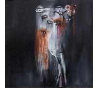 Insect Ark - The Vanishing - VINYL [VINYL]