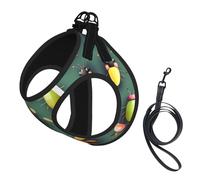 Insect Atlas Print Soft Pet Harness and Leash Set, Adjustable Mesh Puppy Vest Harness for Small Large Large Dogs and Cats