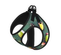 Insect Atlas Print Soft Pet Harness and Leash Set, Adjustable Mesh Puppy Vest Harness for Small Small Large Dogs and Cats
