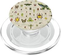 Insect Bug Collection Collector Entomologist Educational PopSockets PopGrip for MagSafe
