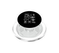 Insect Chart Entomology Insects Species Bug Collector Nature PopSockets PopGrip for MagSafe