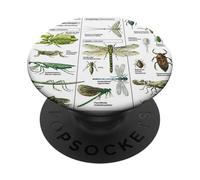 Insect Collection Species Bugs Educational Vintage Chart PopSockets Adhesive PopGrip