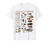 Insect Collection Species Bugs Vintage Chart Entomology Value Graphic T-Shirt, Men, White, M