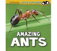 Insect Explorer: Amazing Ants