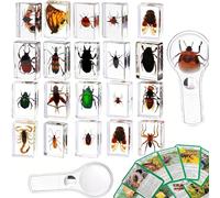 Insect in Resin Collection,Educational Bugs Specimen Set for Kids,Perfect for Preschool,Classroom Science and Home Displays (20 Insect Styles)