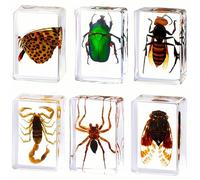 Insect in Resin Specimen,Bugs Collection Paperweights Arachnid Resin Specimen Different Insect Specimen Bug Preserved in Resin for Kids Scientific Educational Toy(6 Styles)