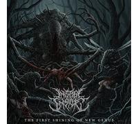Insect Inside - The First Shining Of New Genus [VINYL]