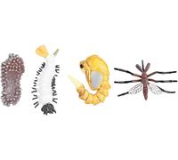 Insect Life Cycle Learning Kit - Realistic Mosquito & Ant Growth Model Figures, Educational Desk Display Toy, Unique Science Themed Gift for Adults & Curious Minds