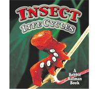 Insect Life Cycles (World of Insects)