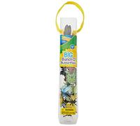 Insect Lore Bunch O' Butterflies