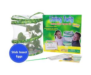 Insect Lore Living Twig Indian Stick Insect Kit Educational Bug Habitat 01060