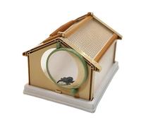 Insect observation cage for outdoor use, breeding cage for silkworms, 20 x 15 x 13 cm, insect butterfly cage, portable, breathable, small animal cage (Khaki)