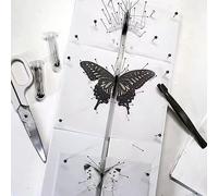 Insect Pinning Board, EVA Foam Board Pose Insects Boards Butterfly Spreading Wings Board Combined Plates, Adjustable Wide Spacing Double Sided Usable Insect Specimen Tools for Bugs Collection (1 PACK)