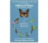 Insect Science PosterMonarch Butterfly Life Cycle Teaching Poster Wall Art Decor for Home Kitchen Garage Bar Cafe Office Retro Vintage Decorative Plaque Metal Tin Sign 12x16 inch