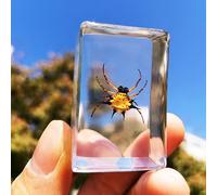 Insect specimens in Resin Key Chain Real Dried Sets Collection (Horned spider)