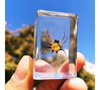 Insect specimens in Resin Real Dried Sets Collection Science Teaching Education Toy (Horned spider)