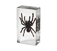 Insect Spider Specimen Paperweight, Real Spider Paperweight Animal Specimen, for Biology Science Education Display Supplies, Desk Decor (2.87x1.6x0.78 inch)