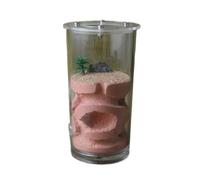 Insect Villa Ant Nest Farm Gypsum Ant Castle Feeding Water Nest Habitat Ant Farm Ant Nest Castle Mania House(Rosso)