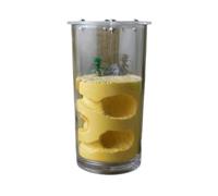 Insect Villa Ant Nest Farm Gypsum Ant Castle Feeding Water Nest Habitat Ant Farm Ant Nest Castle Mania House(Yellow)
