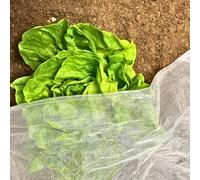 InsectoNet Garden Netting Mesh - Biodegradable Fine Mesh Neting | Insect Netting for Vegetables | Plastic-Free White Netting Fabric Protection Against Pests: Bugs, Flies, Butterflies and Birds