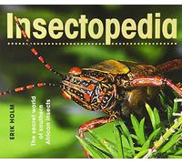 Insectopedia: The Secret World of Southern African Insects