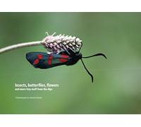 Insects, butterflies, flowers and more tiny stuff from the Alps: 150 photographs
