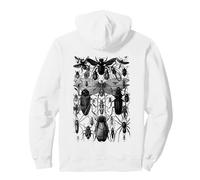 Insects Collection Species Bugs Vintage Entomology Pullover Hoodie