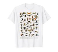 Insects Collection Species Bugs Vintage Entomology Value Graphic T-Shirt, Men, White, M