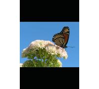 Insects: Diversity, Behaviour, Adaptations and Their Ecological Importance: A Complete Guide to Insect Biology, Evolution, Life Cycles and Environmental Roles