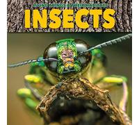 Insects (Living Things and Their Habitats)