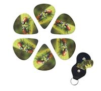 Insects love Print Guitar Picks Set of 6 with Storage Box Organizer for Custom Guitars Men Women Guitar Accessory Ukulele for Acoustic Guitar and