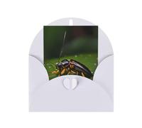 Insects On Leaves Blank Greeting Card, 4x6 Inches, #Holiday Greeting Card, Suitable For All Occasions.