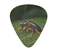 Insects On Leaves Guitar Plectrums Classical Triangle Bass Acoustic And Electric Guitar Plectrums For Guitarists 12 Pieces