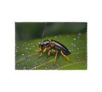 Insects On Leaves Placemats Set Of 6, Heat Resistant, Non-Slip, 12 X 18 Inch, Kitchen Table Placemats.