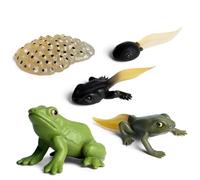 insectt Toys Life Cycle Of Action Model | Frog Life Cycle Figures Set Of 5 Life Stages,Frog Life Stages Figures Model For Learning And Early Educational Toys Science Project Christmas Birthday Gift