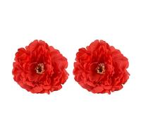 INSEOWI Curtain Holders Flower Shape Tie Holdbacks for Home Decoration Enhancing 2Piece Pack Easy Installtion Curtain Strap