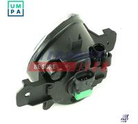 INSERT SPOTLIGHT FT87591 FOR RENAULT D7F710/722/746/726 1.1L 4cyl CLIO II