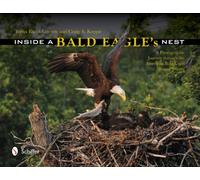 Inside a Bald Eagle's Nest : A Photographic Journey through the American Bald Eagle Nesting Season