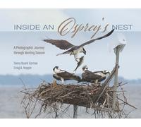 Inside an Osprey's Nest: A Photographic Journey through Nesting Season