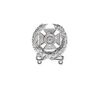 Insignia Depot Expert Badge, US Army, Silver
