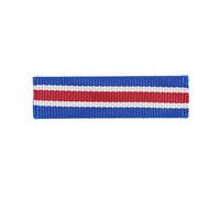 Insignia Depot US Army Component Overseas Training Ribbon, Multicolored, Large