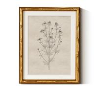 InSimSea Gold Bamboo Framed Canvas Wall Art, Minimalist Chamomile Botanical Paintings, Antique Vintage Picture Frame with Mat, Victorian Home Wall Art for Living Room Kitchen Dining Decor, 11x14inch