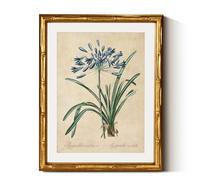 InSimSea Gold Bamboo Framed Canvas Wall Art, Retro Lily Botanical Prints, Antique Moody Picture Frame with Mat, Victorian Home Wall Decor for Kitchen Dining Living Room Bedroom, 11x14inch