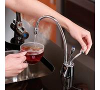Insinkerator HC1100 Boiling Water Tap with NeoTank & NeoChiller - Curved Chrome